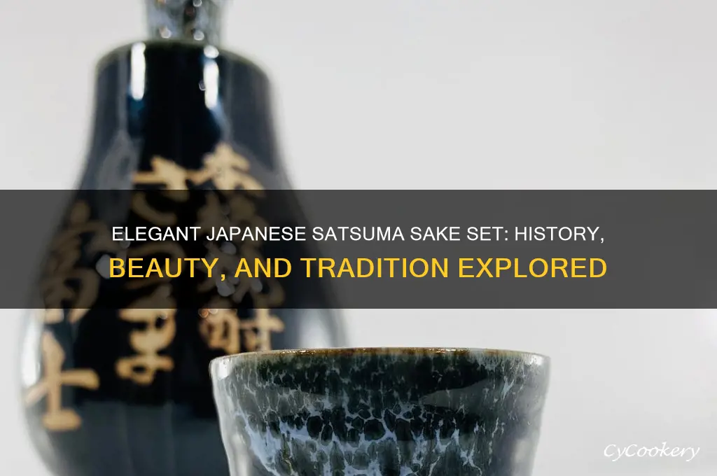 japanese satsuma sake set