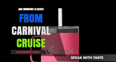 Carnival Cruise Jar Glasses: Creative Ways to Repurpose Your Souvenir