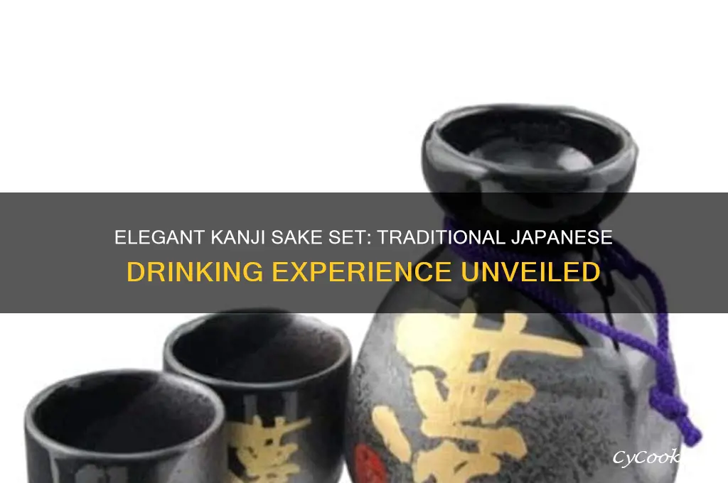 kanji sake set