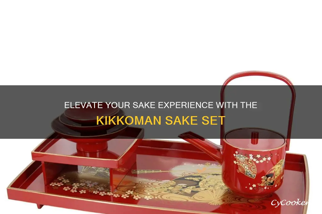 kikkoman sake set