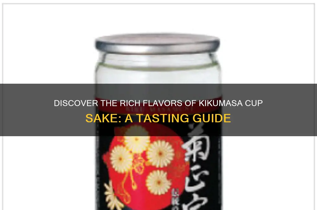 kikumasa cup sake