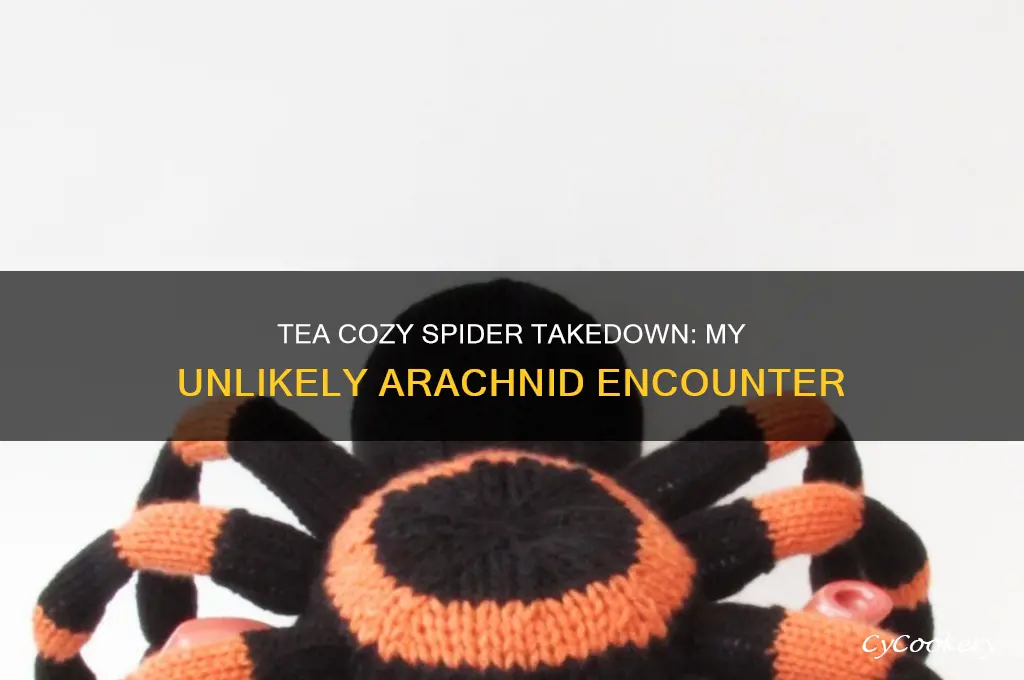 killed a spider with a tea cozy