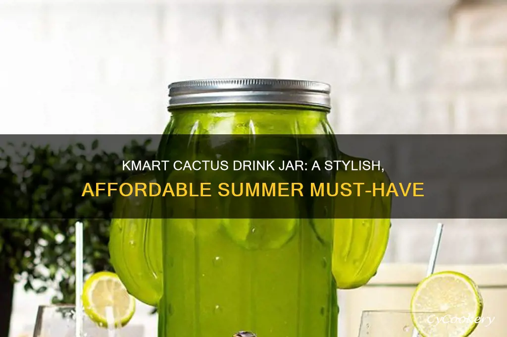 kmart cactus drink jar