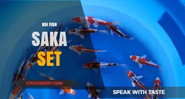 Elegant Koi Fish Saka Set: A Stunning Aquarium Centerpiece Idea