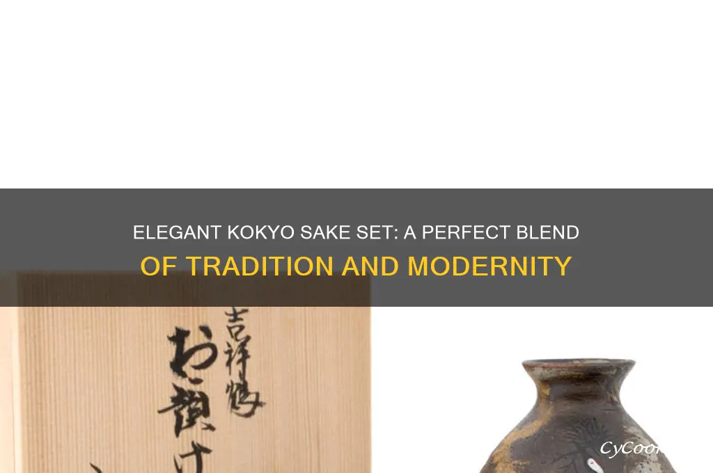 kokyo sake set