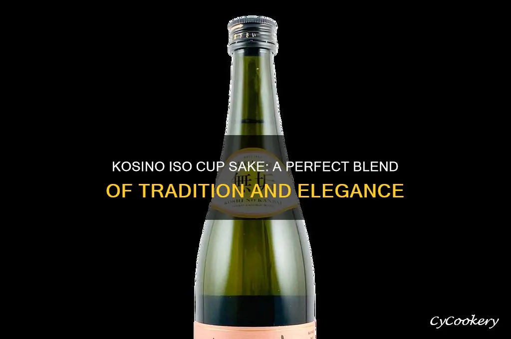 kosino iso cup sake