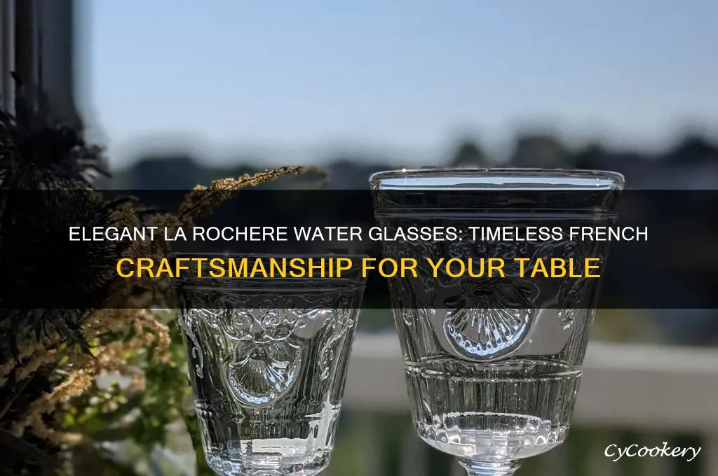 la rochere water glasses