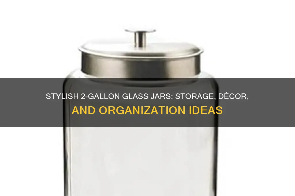 large 2 gallon glass jars