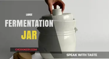 Mastering Fermentation: Choosing the Perfect Large Jar for Your Needs