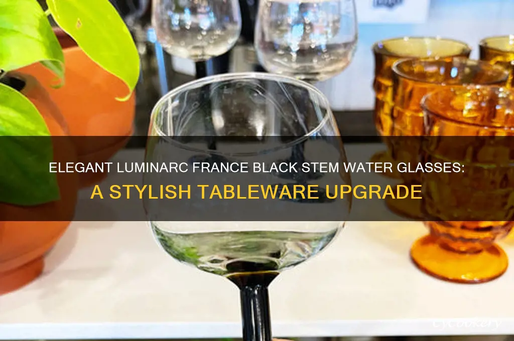 luminarc france black stem water glasses