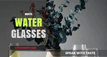 Elegant Macy's Water Glasses: Stylish Hydration for Every Table Setting