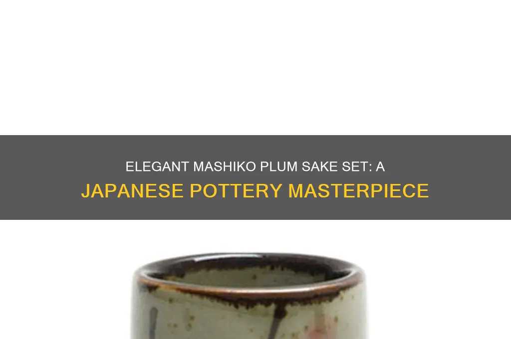 mashiko plum sake set