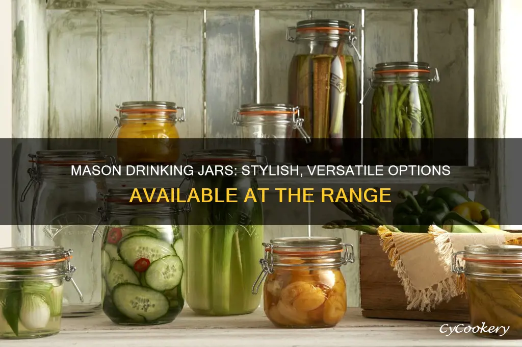 mason drinking jars the range