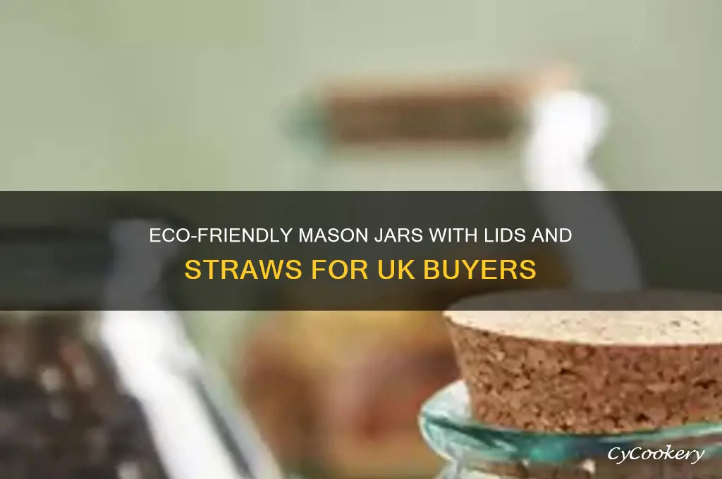 mason drinking jars with lids and straws uk