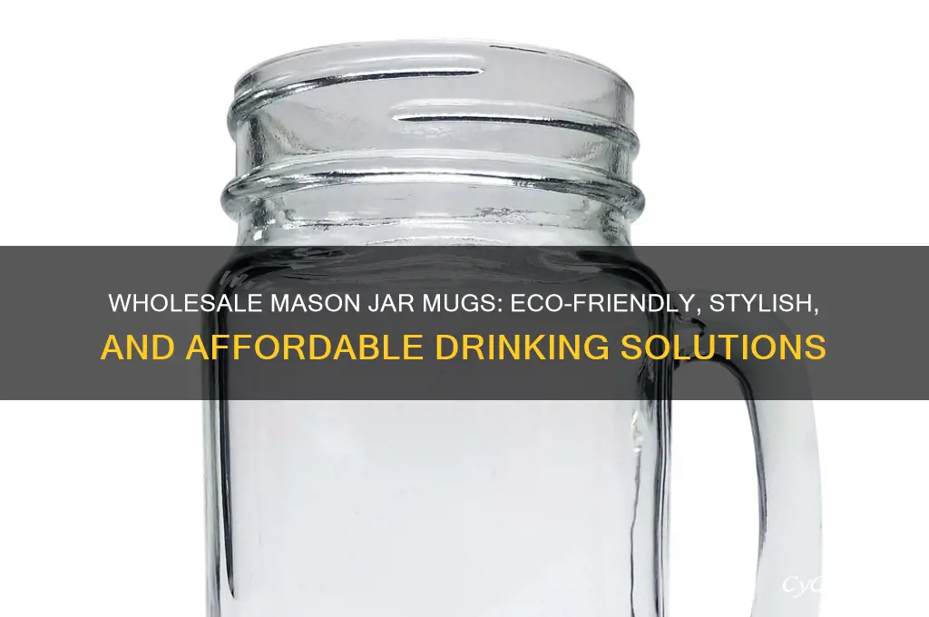 mason jar drinking mugs wholesale
