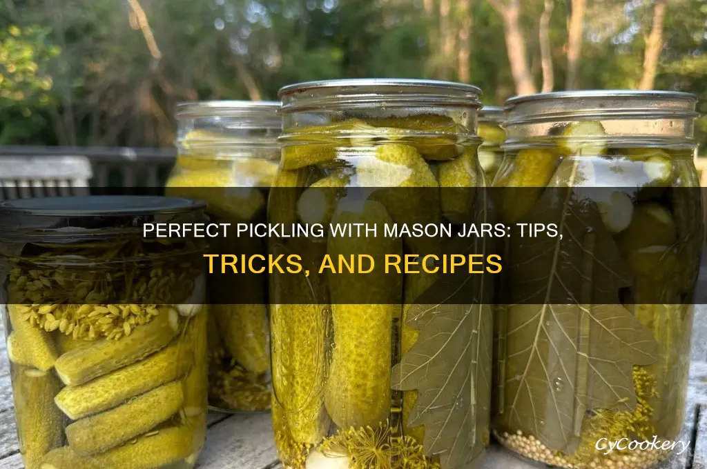 mason jars for pickling