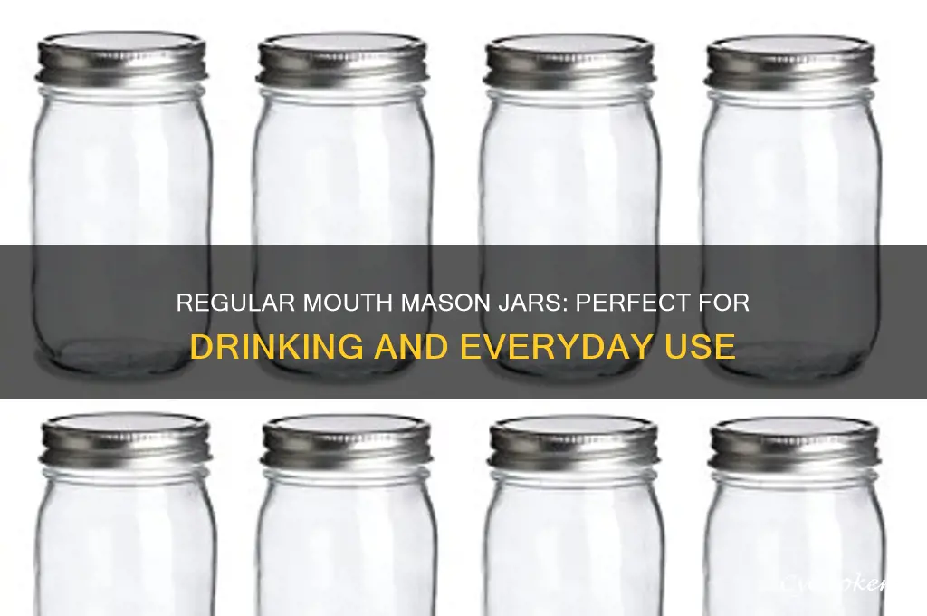 mason jars regular mouth for drinking