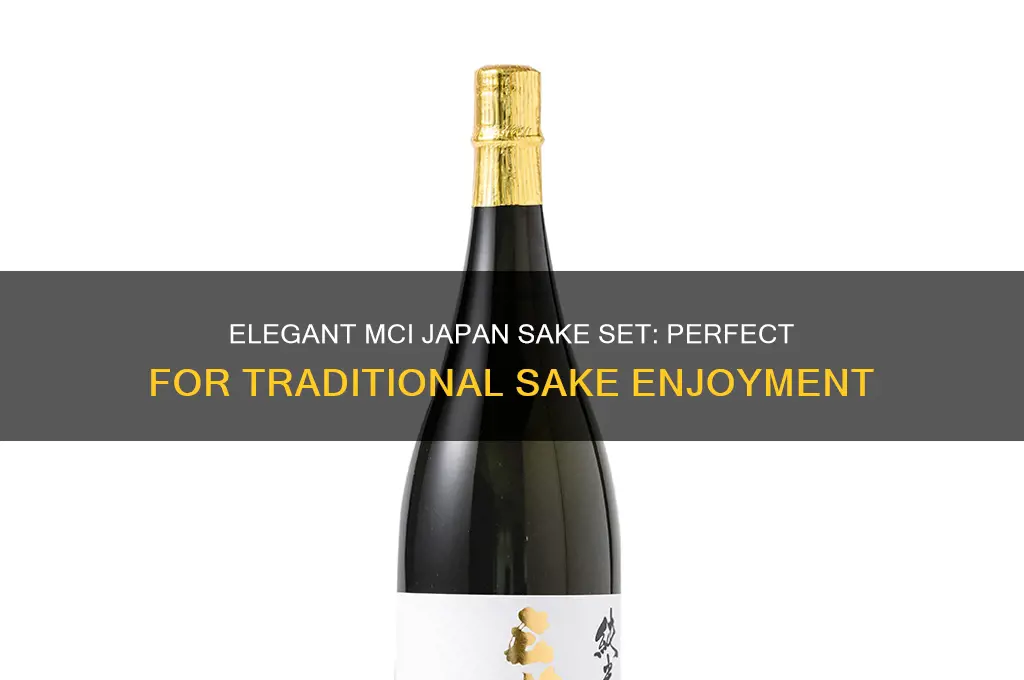 mci japan sake set