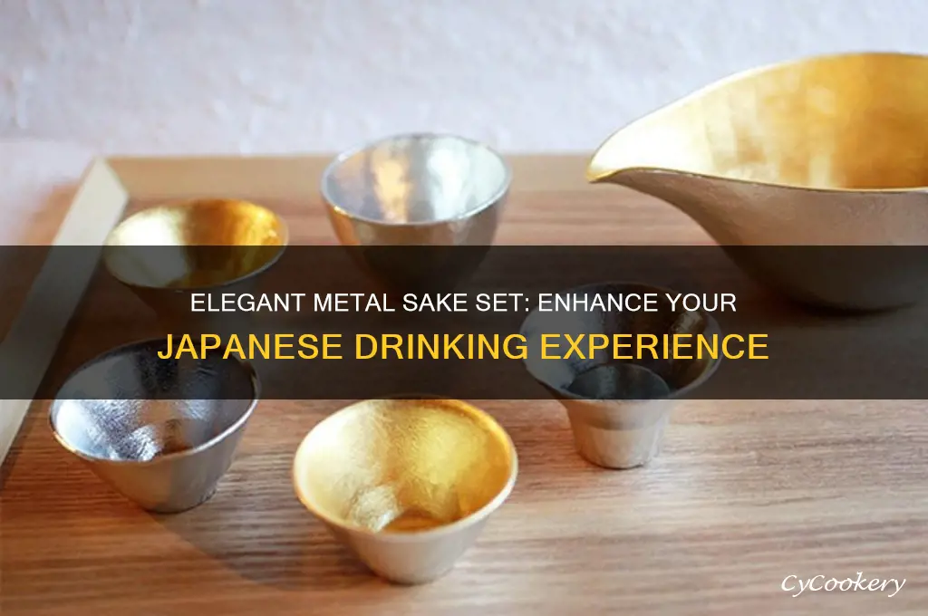 metal sake set