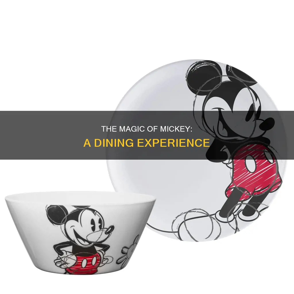 mickey dinnerware set