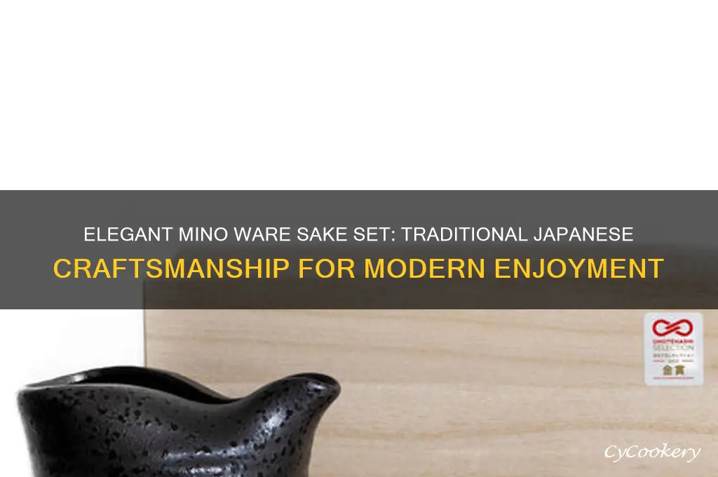 mino ware sake set