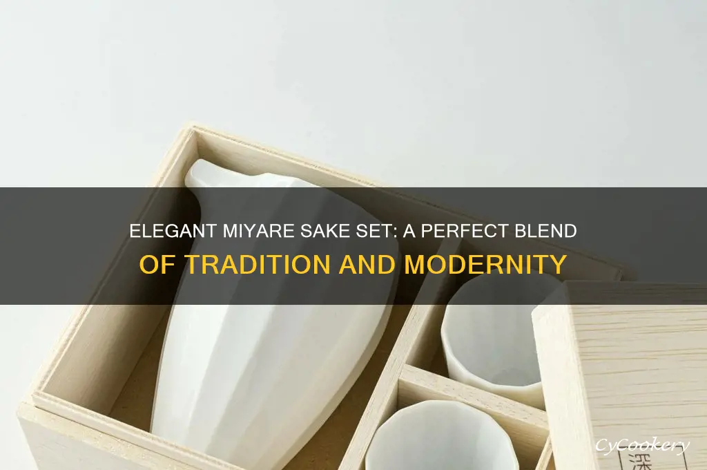 miyare sake set