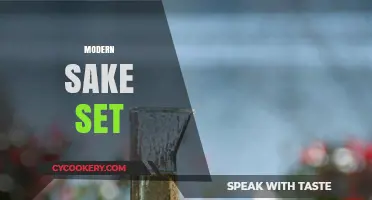 Elevate Your Sake Experience: Discover the Perfect Modern Sake Set