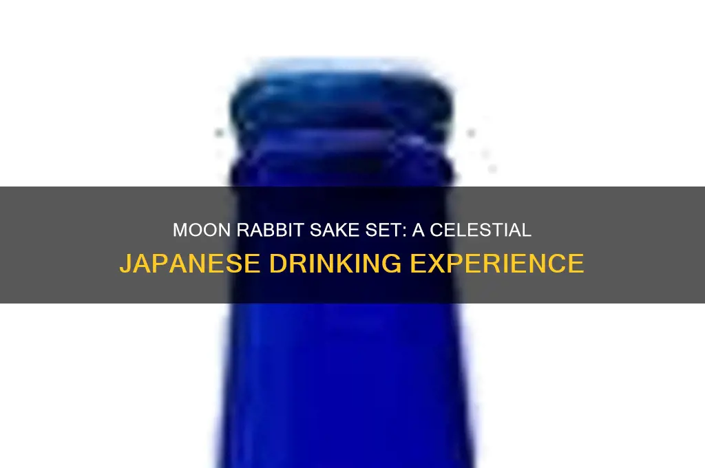 moon and rabbit sake set