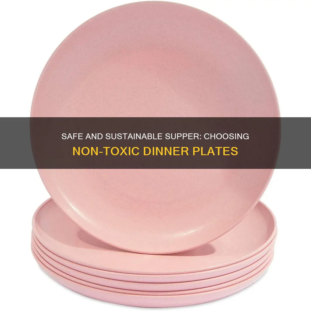 non toxic dinner plates