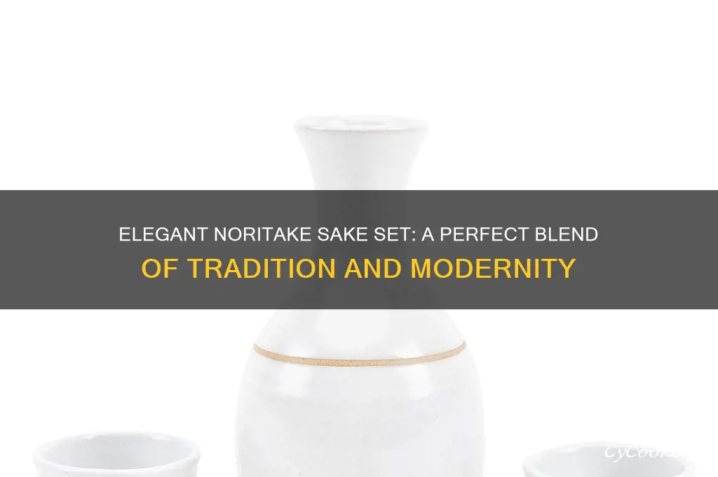 noritake sake set