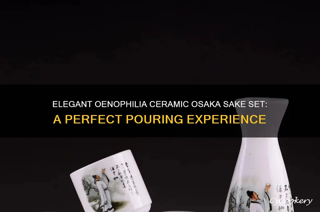 oenophilia ceramic osaka sake set