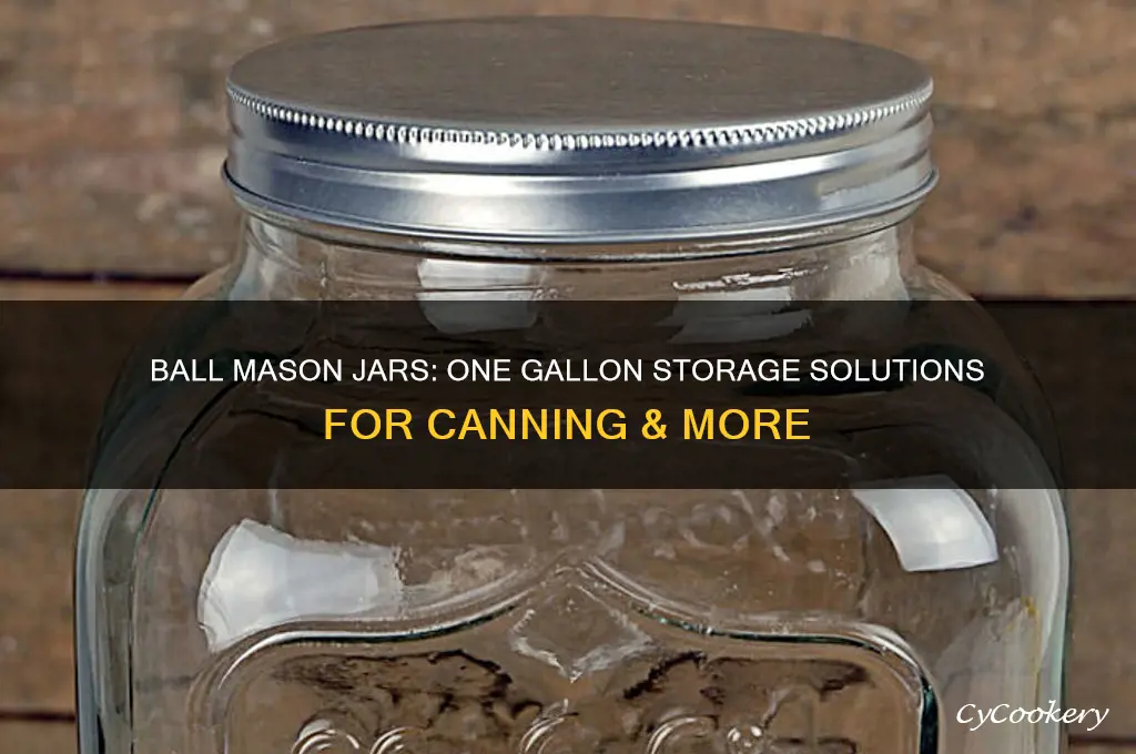 one gallon ball mason jars