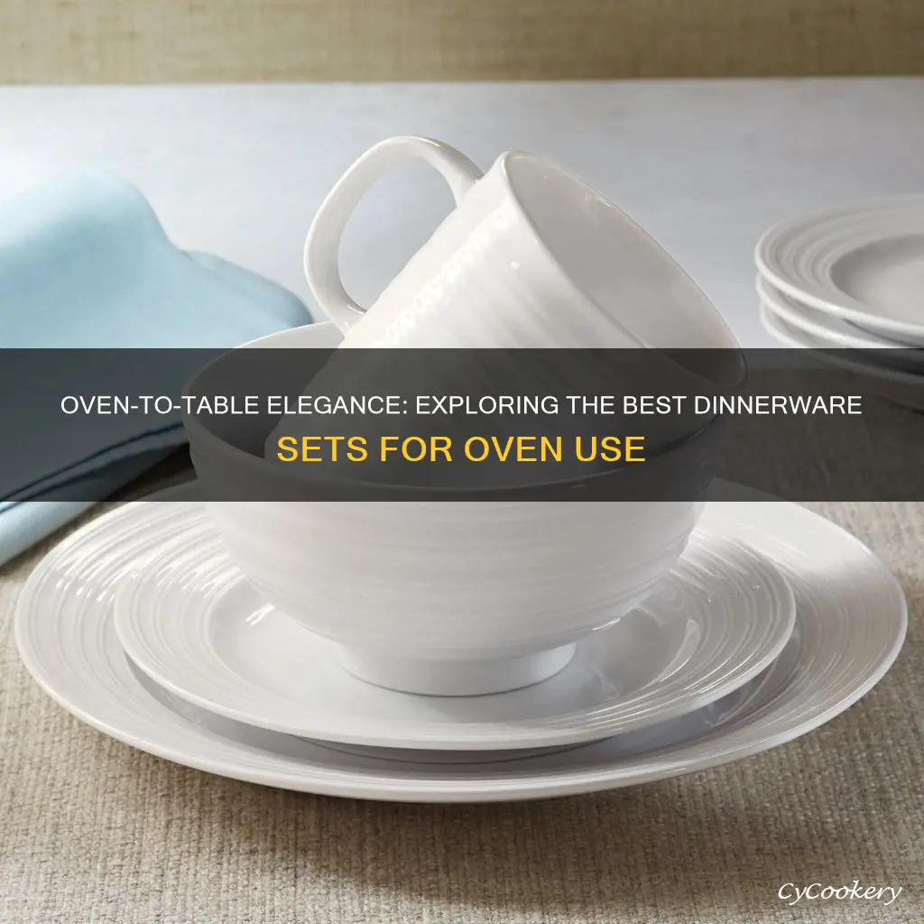 oven safe dinnerware sets