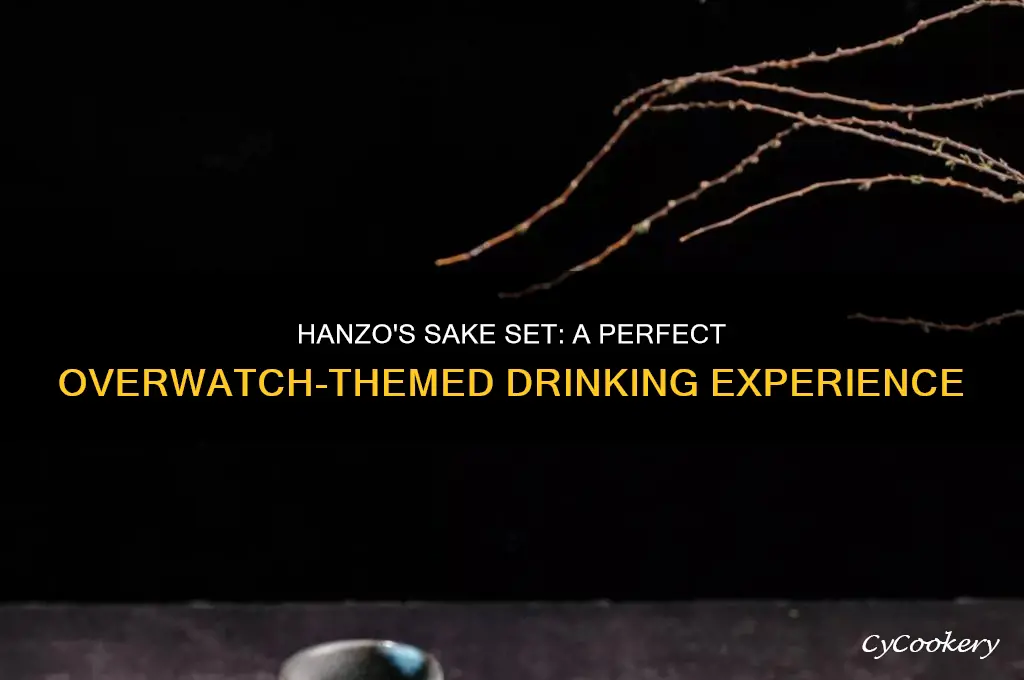 overwatch hanzo sake set