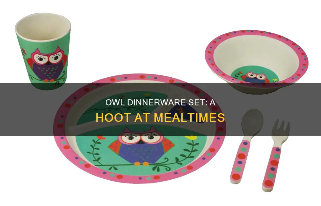 owl dinnerware set