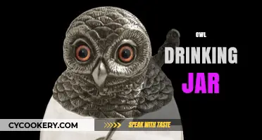 Owl Drinking Jar: A Whimsical Addition to Your Kitchen Collection