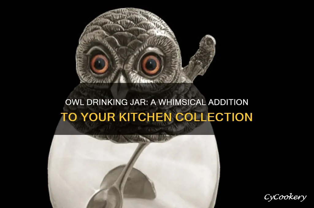 owl drinking jar