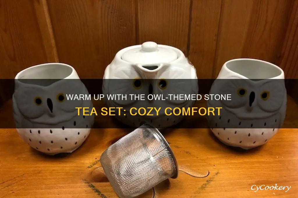 owl warm and cozy tea set in stone