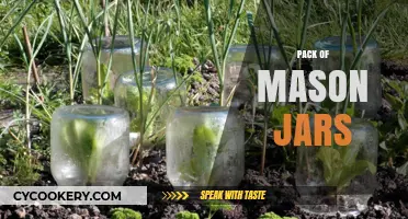 Creative Uses for a Pack of Mason Jars: Storage, Decor, and More