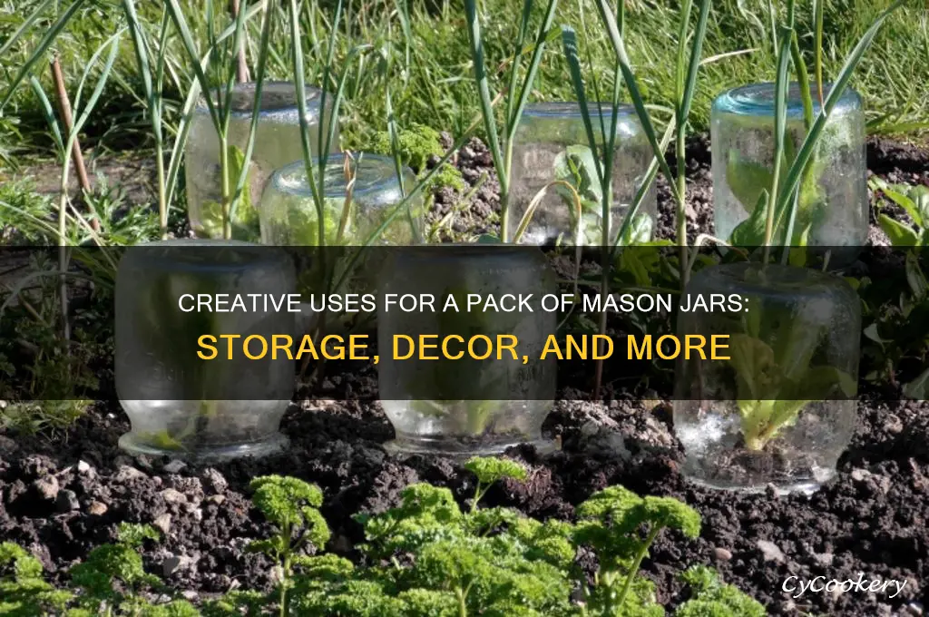 pack of mason jars