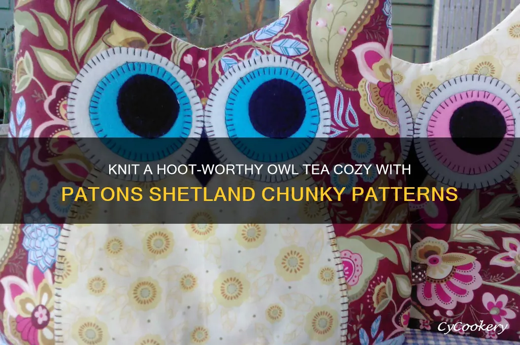 patons shetland chunky patterns owl tea cozy