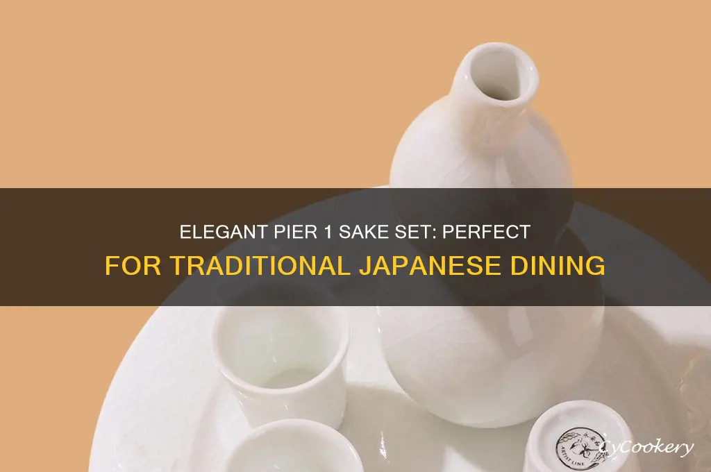 pier 1 sake set
