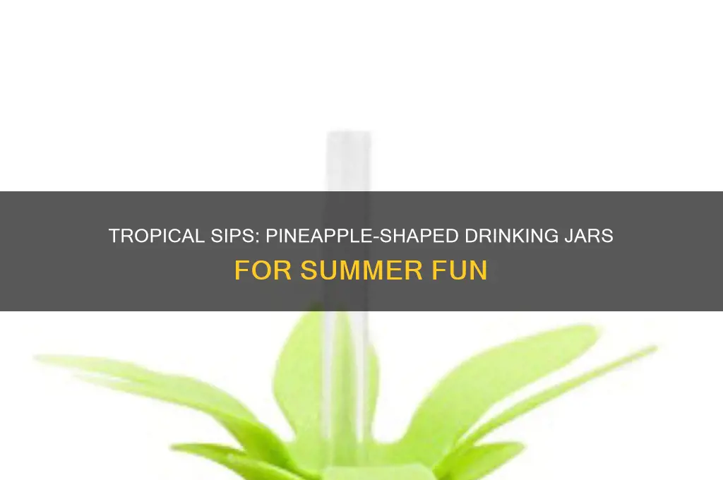 pineapple shaped drinking jars