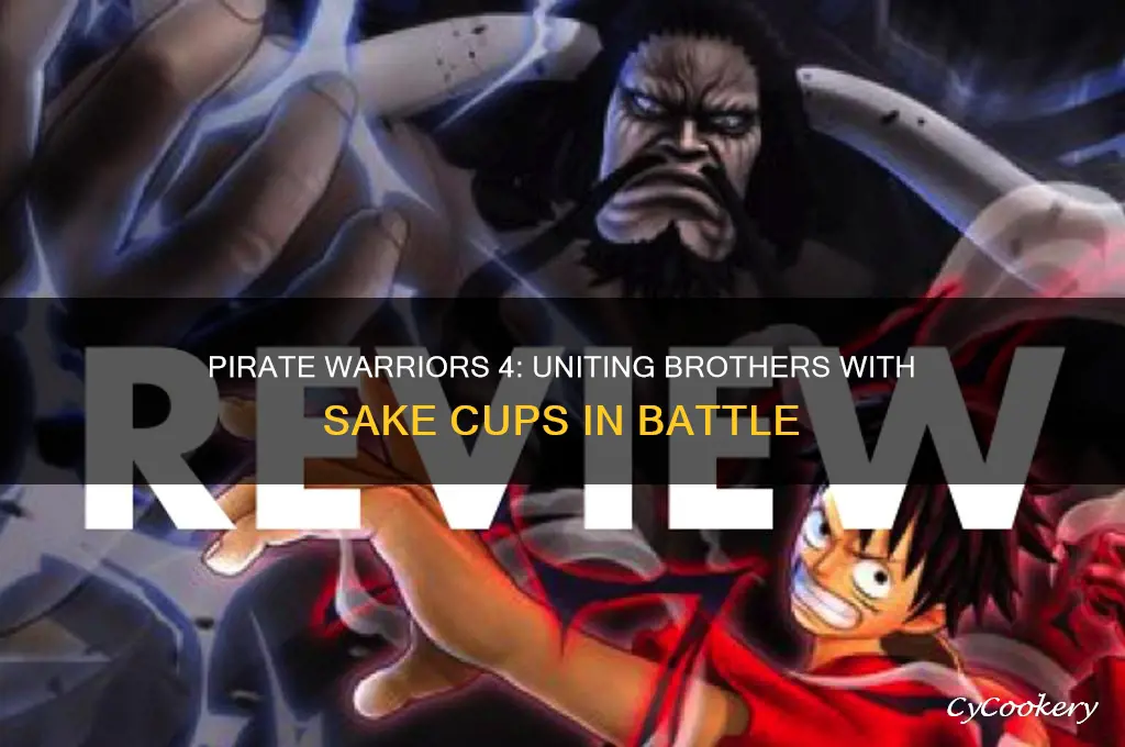 pirate warriors 4 brothers sake cups