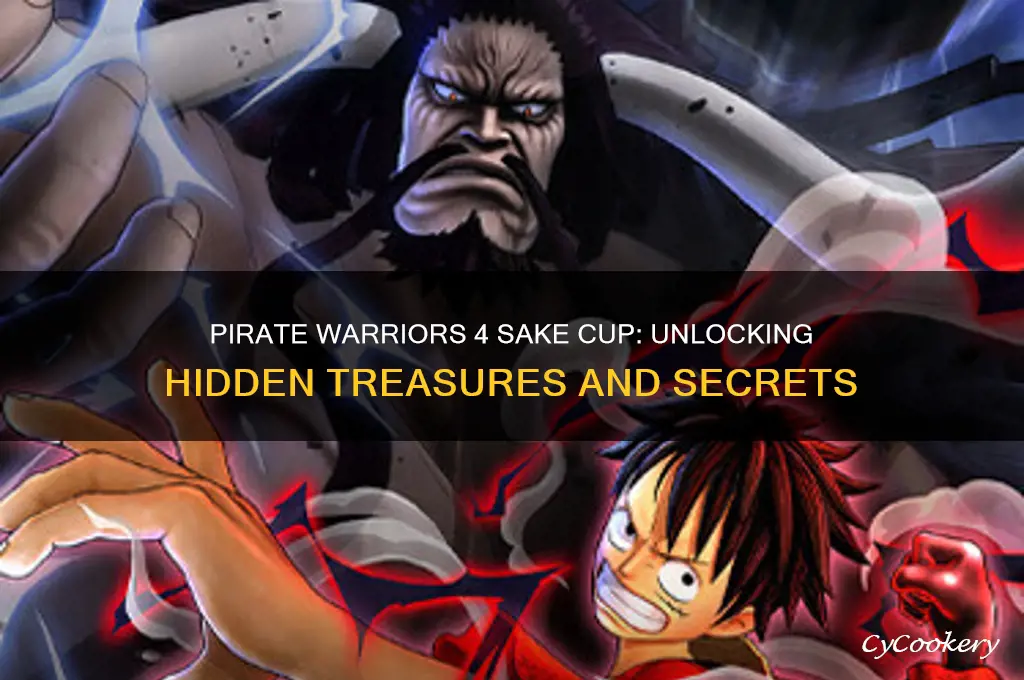 pirate warriors 4 sake cup