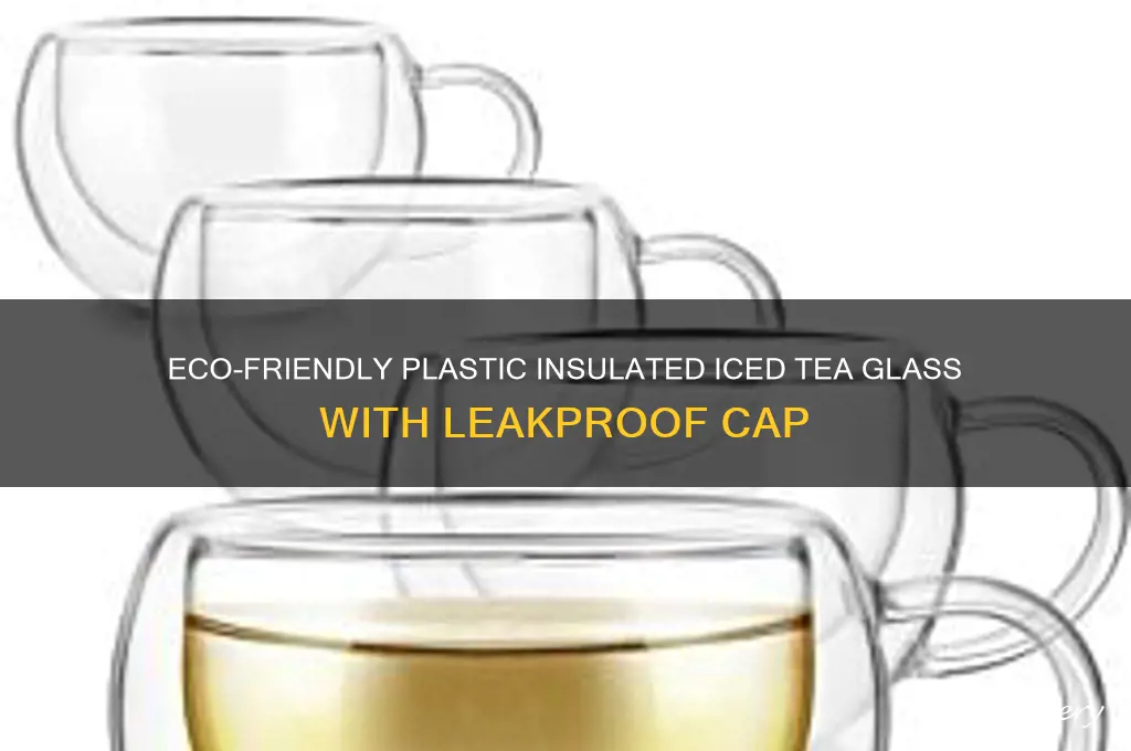 plastic insulated iced tea glass with cap