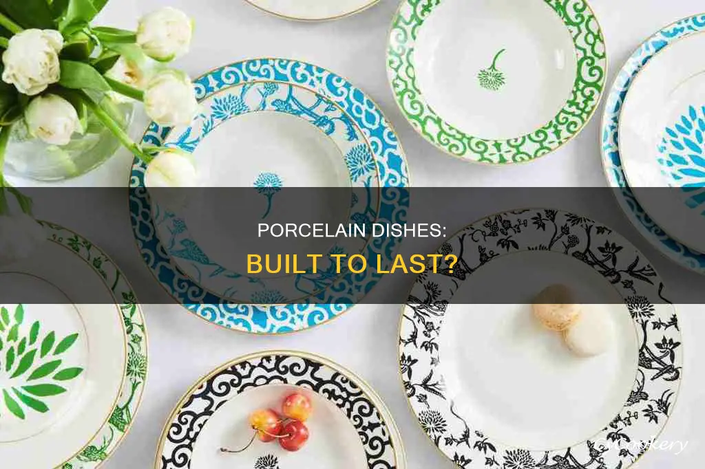 porcelain dishes durability