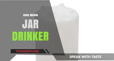DIY Quail Mason Jar Drinker: Easy Hydration Solution for Your Flock