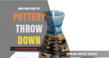 Raku Fired Sake Set Pottery Throw Down: Crafting Tradition Meets Artistry