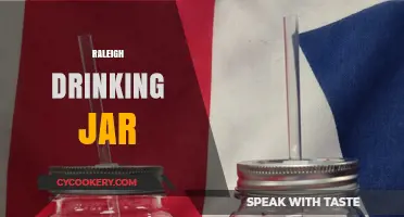 Raleigh Drinking Jar: A Vintage Revival for Modern Beverage Lovers